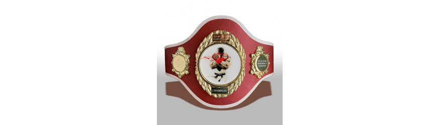 CUSTOM CHAMPIONSHIP BELT PRO286/G/CUSTOM - AVAILABLE IN 10 COLOURS